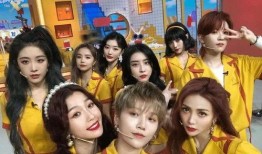 the9女团最新爆料,最新爆料引粉丝热议